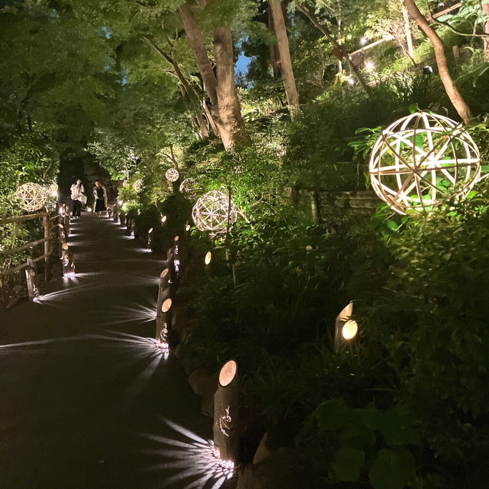 薄暗い夜の庭園の小道。両脇の緑豊かな木々の間に、竹で作られた球体や筒状の照明が設置され、足元を優しく照らしている。光は地面に模様を描き出し、幻想的な雰囲気を醸し出している。