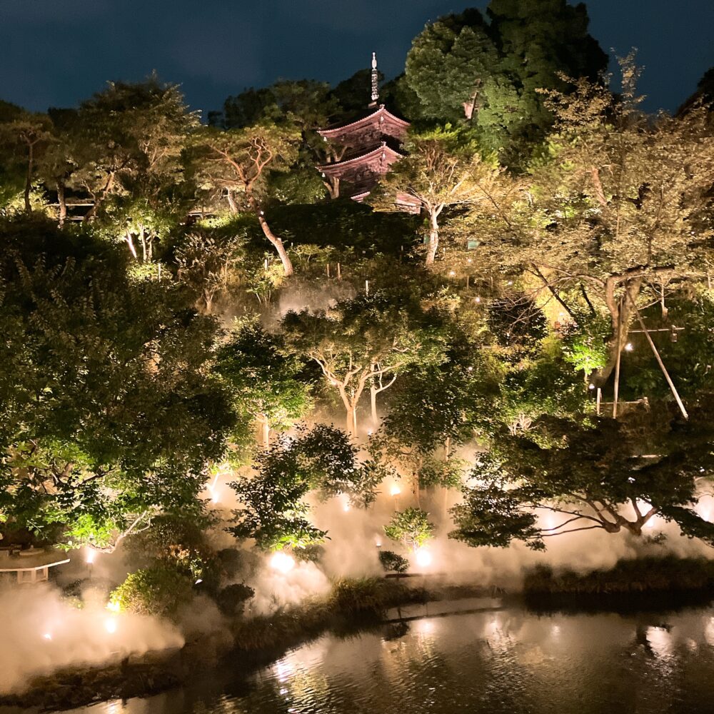 夜の帳の中、ライトアップされたホテル椿山荘東京の日本庭園。幽翠池の水面に雲海が広がり、幻想的な雰囲気を醸し出している。奥にはライトアップされた三重塔が静かに佇む。