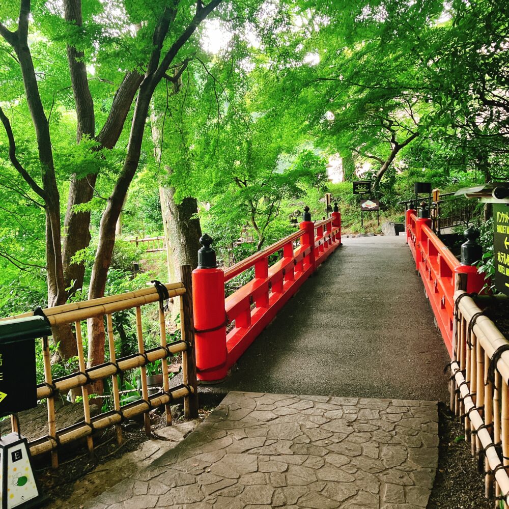 青々とした木々に囲まれた日本庭園の中に架かる、鮮やかな朱色が印象的な「弁慶橋」。橋の手前には石畳の道と竹柵が見える。