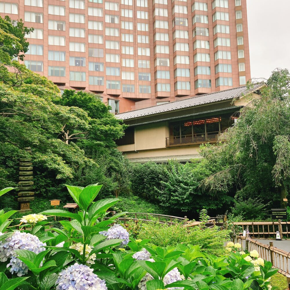 ホテル椿山荘東京の日本庭園から見上げた、緑に囲まれた和風の建物。建物の2階部分には「みゆき」の客席と思われる窓が見え、その上にはホテルの高層棟がそびえ立つ。手前には紫陽花が咲いている。