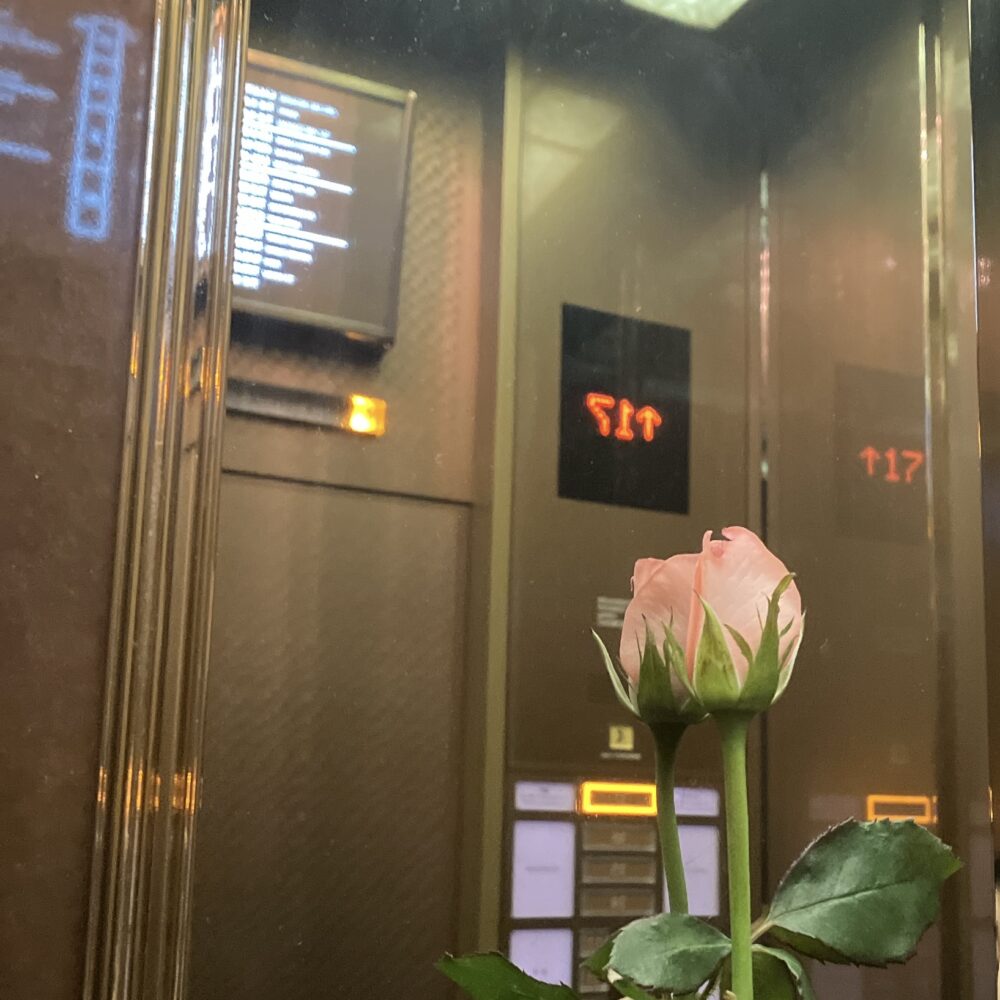 帝国ホテル本館エレベーター内の鏡面に飾られた、一輪のピンク色のバラ。背景には17階に到着したことを示すデジタル表示の「17」と、ホテル内のフロア案内が映り込んでいる。