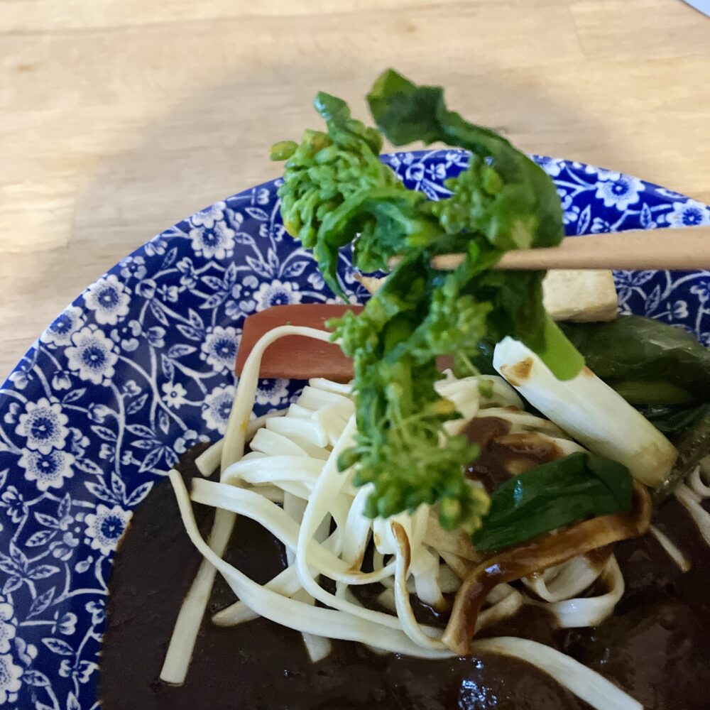 箸で持ち上げられた色鮮やかな菜の花。ビーフシチューの濃厚なソースの色と、菜の花の鮮やかな緑色のコントラストが美しい。