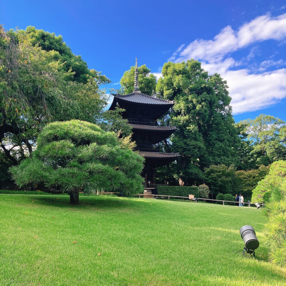 秋晴れの青空に映える椿山荘の庭園風景。美しい緑の芝生と手入れされた松の木、奥にそびえ立つ歴史ある五重塔