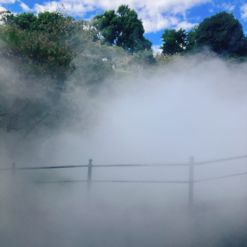 庭園を真っ白な霧が包み込む、椿山荘名物の絶景「東京雲海」